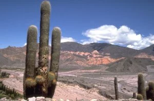 Quebrada de Humahuaca - Jujuy