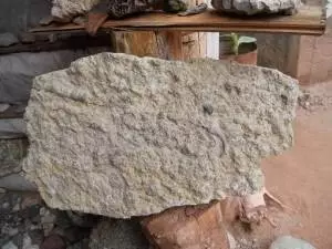 Exposición de piedras de Lino Flores