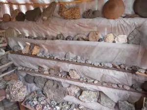 Exposición de piedras de Lino Flores