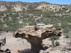 La Rioja - El Chiflón - Hongo